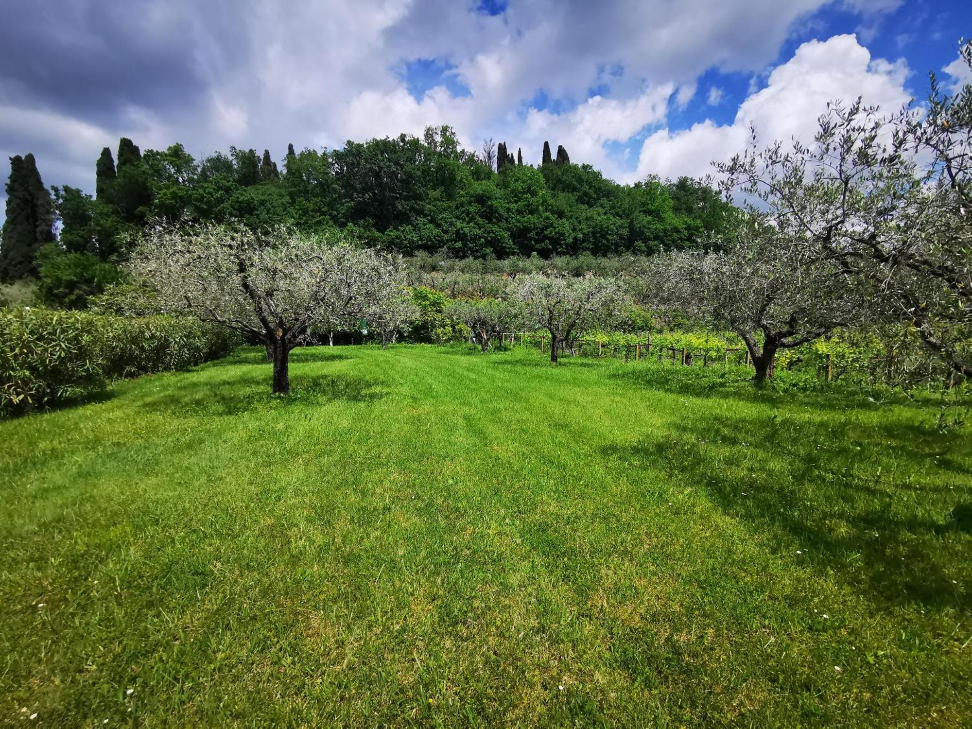 Casa Ghirlanda Con Piscina E Campo Da Tennis Lazise Exteriör bild